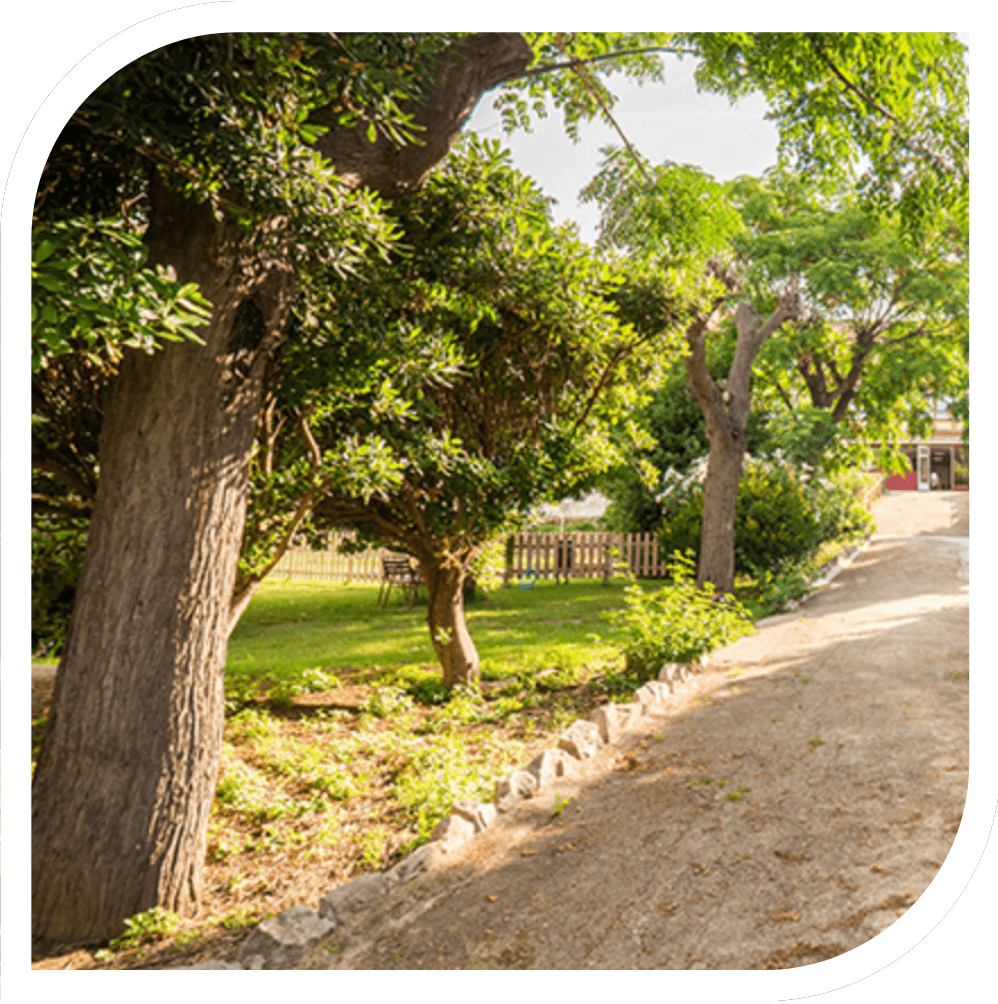 jardí exterior